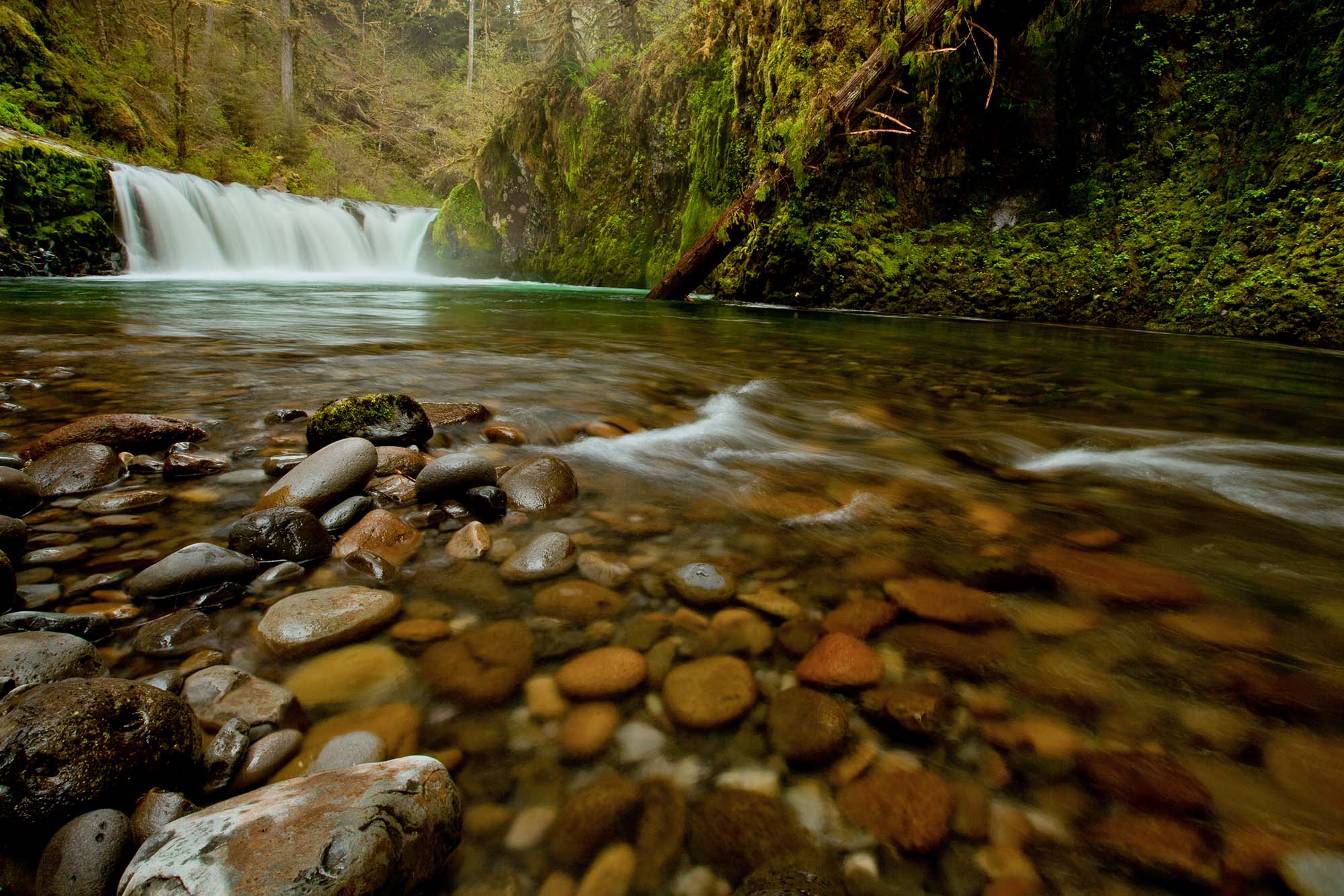 A clear water stream with rocks and mossy areas around and a small waterfall coming into the main pond