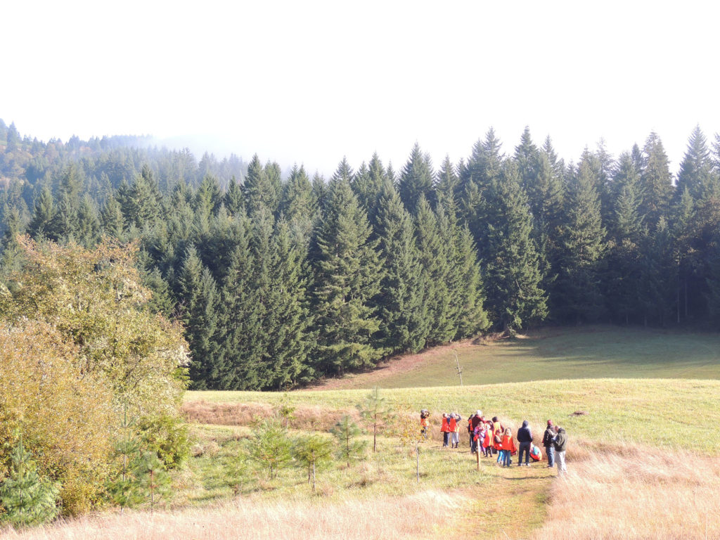 a group of young explorers at Miller Woods