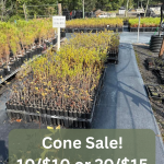 A photo of a plant nursery with the included caption "Cone sale! 10/$10 or 20/$15"