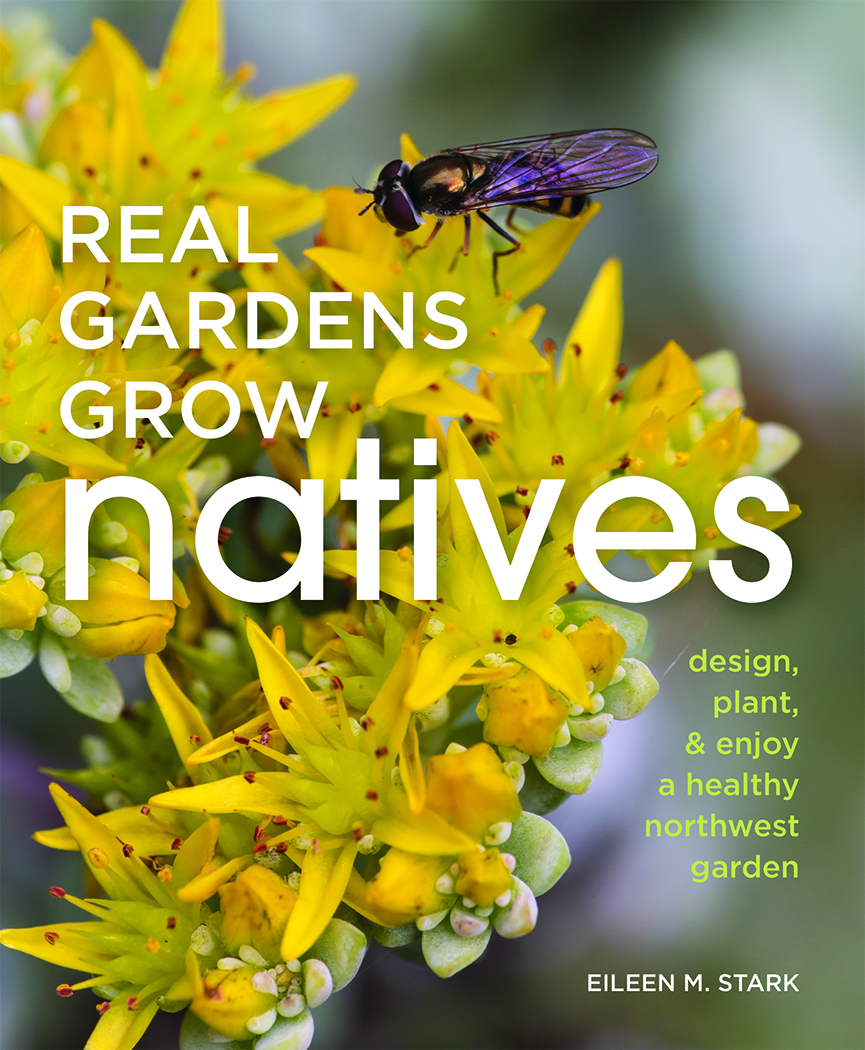 A book cover for "Real Gardens Grow Natives" which includes a yellow flower and a hoverfly.