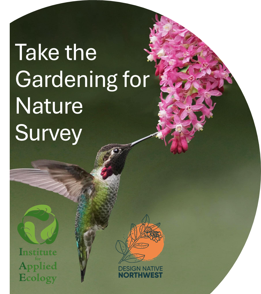 A Hummingbird feeding on a pink flower, next to the phrase "take the gardening for nature survey"