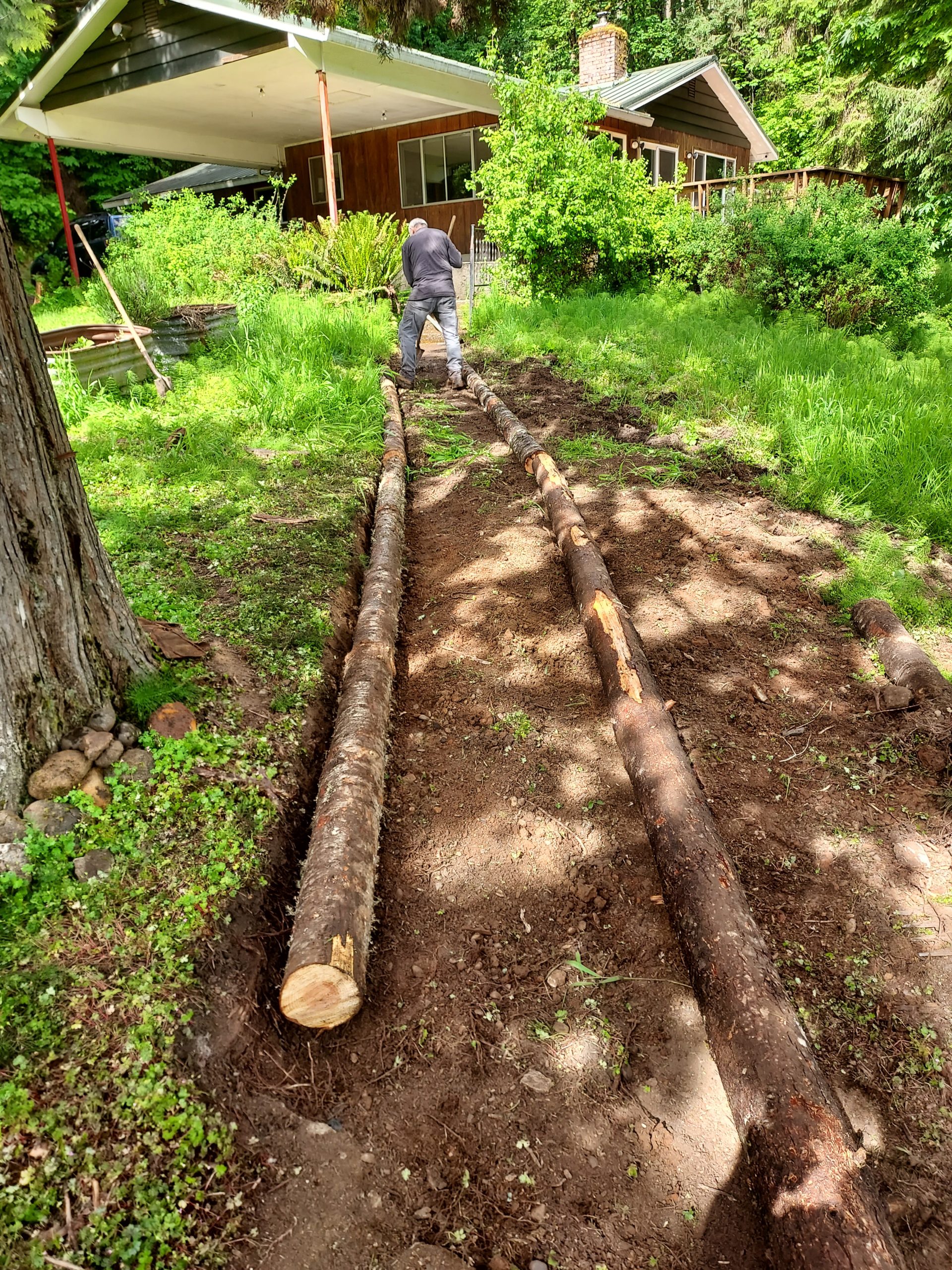 miller woods Trail to House Before